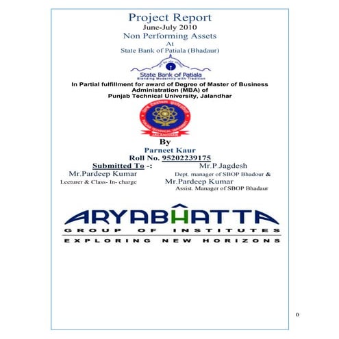 Project report on NPAs