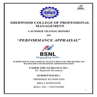 Project report on Performance Appra...