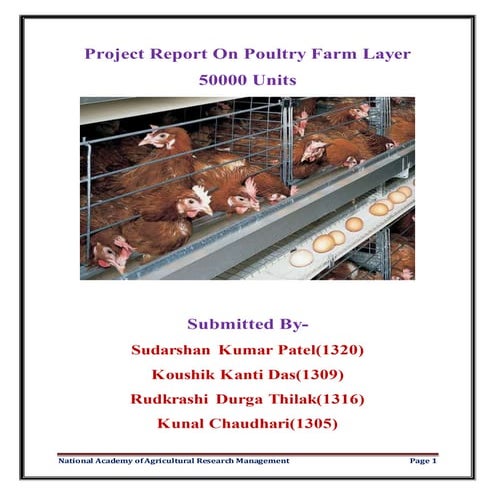 Project report on poultry farm layer