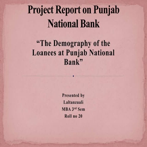 Project report on punjab national bank