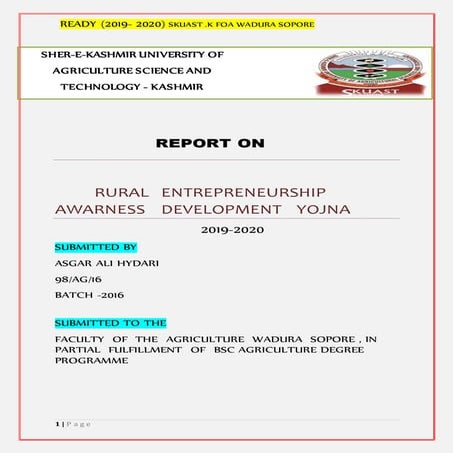 READY / RAWE  report