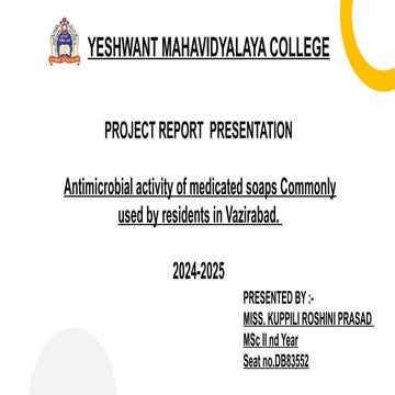 PROJECT REPORT PRESENTATION / YMN/2025.pptx