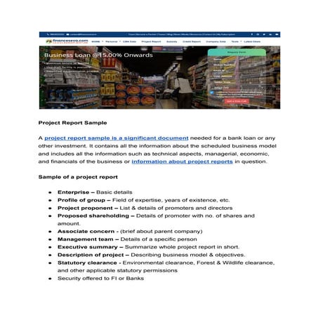 Project Report Sample | PDF