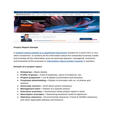 Project Report Sample | PDF | Business | Business and Finance