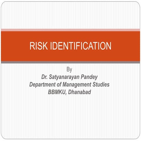 Project risk identification