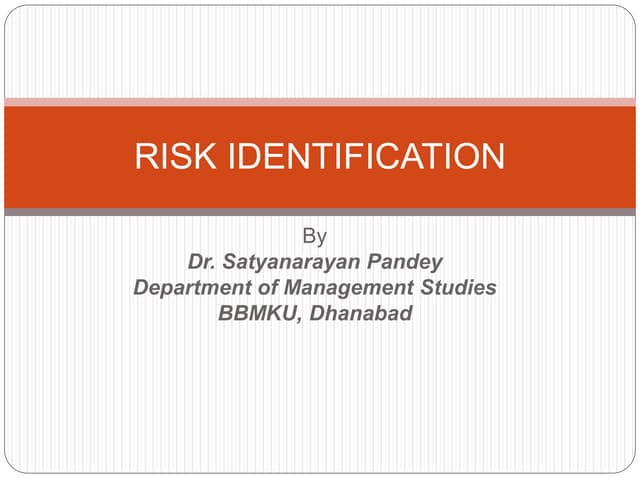 Project risk identification