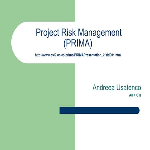 Project risk management