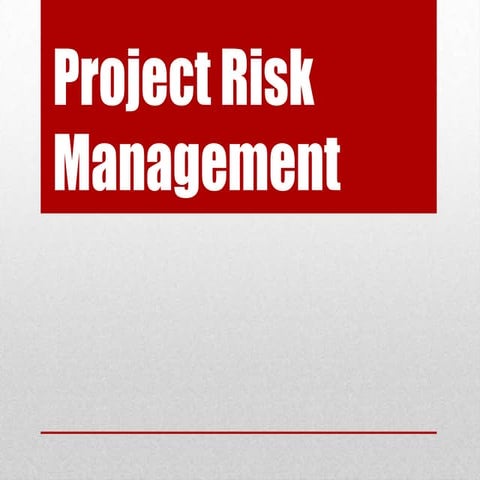 Project risk management