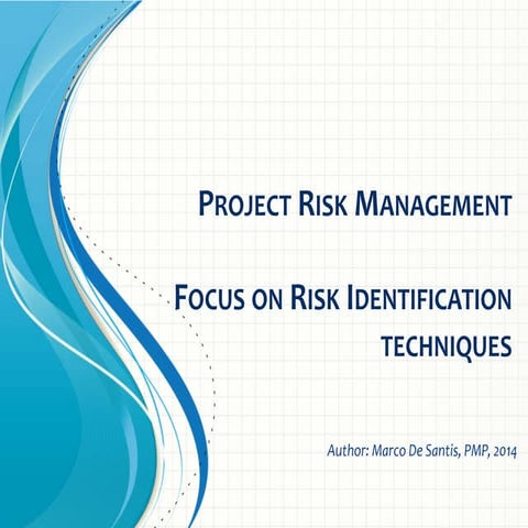 Project risk management   focus on risk identification techniques