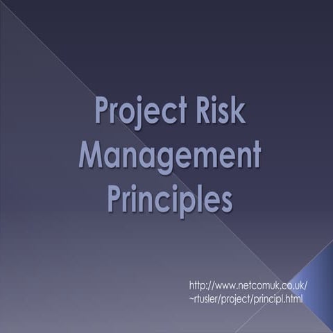 Project risk management principles