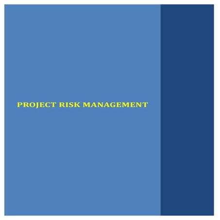 Project risk management training manual