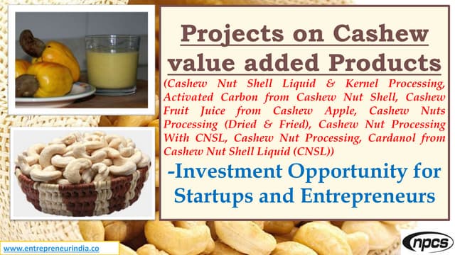 projectsoncashewvalueaddedproducts-170713061551-thumbnail.jpg