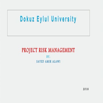 Projects risk management