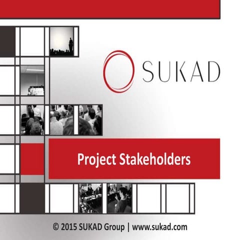 Project stakeholders