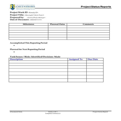 Project status report template v2.0