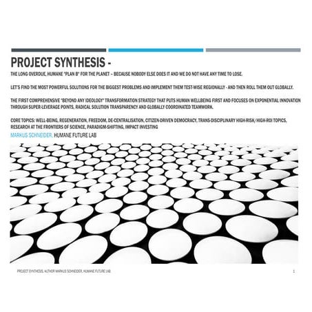 Project Synthesis - Markus Schneider - Humane Future Lab (V0.9)