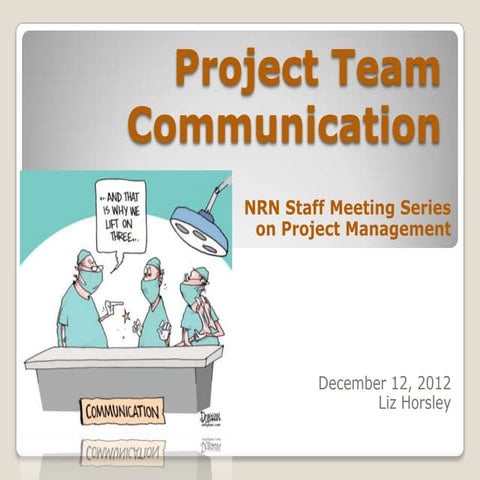 Project team communication