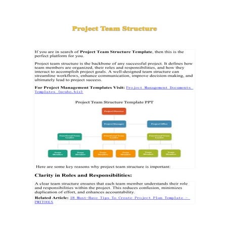 Effective Project Team Structure Template Excel | PDF