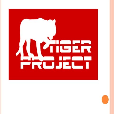 Project tiger
