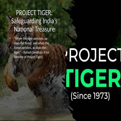 Project_Tiger - Copy.please be sure you are aware that | PPTX
