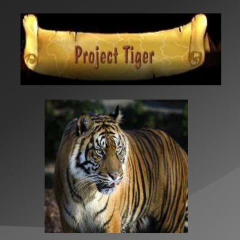 PPT on PROJECT TIGER