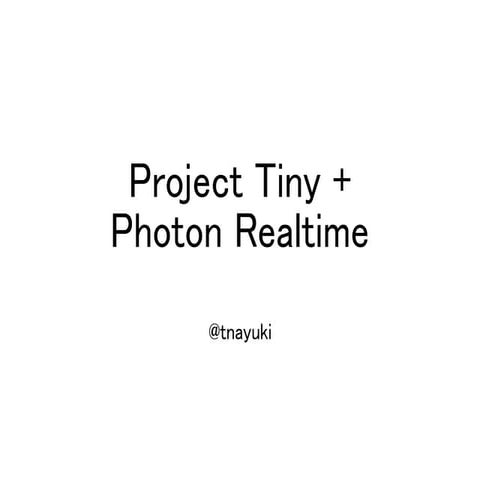 Project Tiny +  Photon Realtime