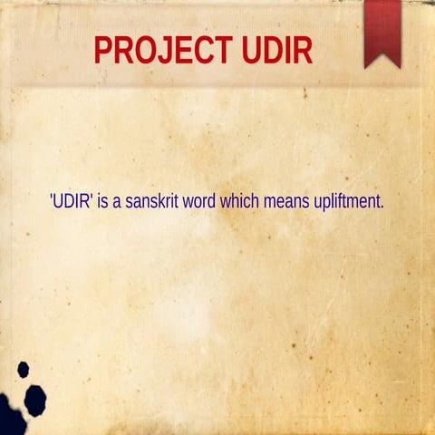 Project udir