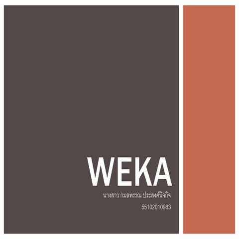 Project weka