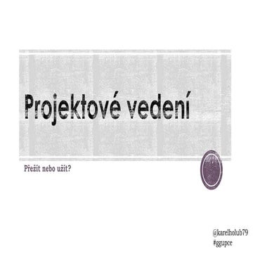 Projektové vedení ggupce