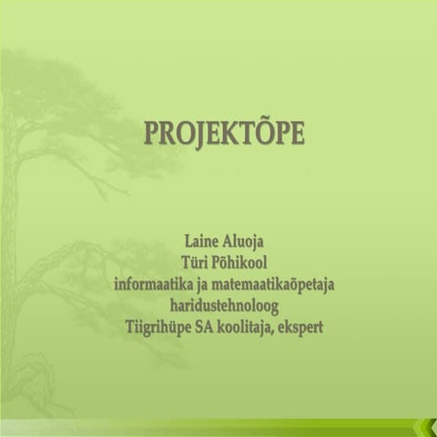 Projektõpe