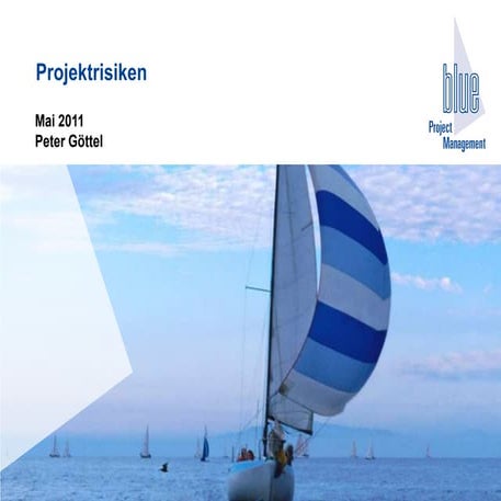 Projektrisiken blue pm.eu_mai11_v1.0