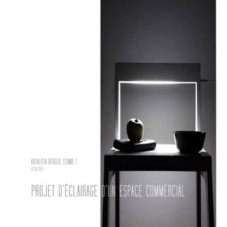 Projet lumiere kathleen-berger