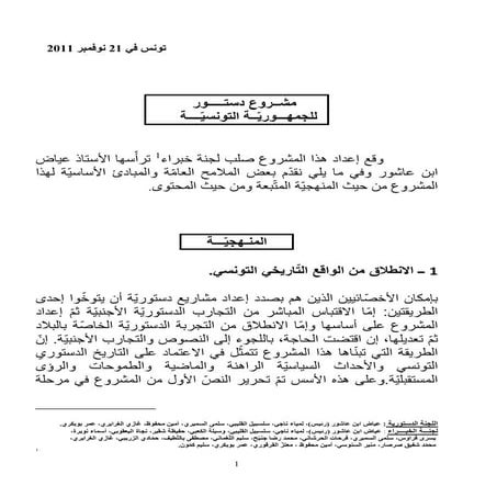 Yadh Ben Achour : Projet constitution