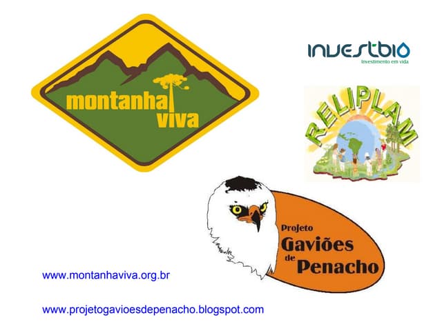 Projeto AnitáPolis Rancho