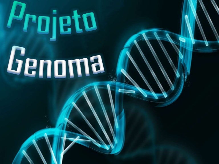 Em 1987 Foi Oficialmente Fundado O Projeto Genoma