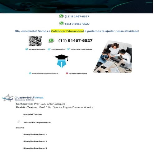 Projeto Integrador Transdisciplinar em Engenharia de Software I | PDF