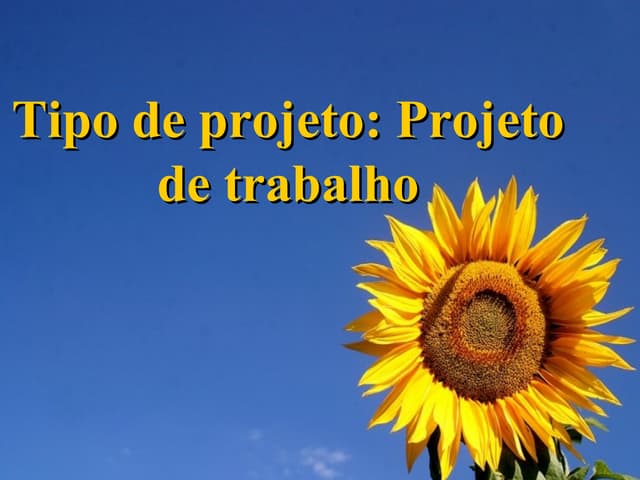 Projeto Meio Ambiente
