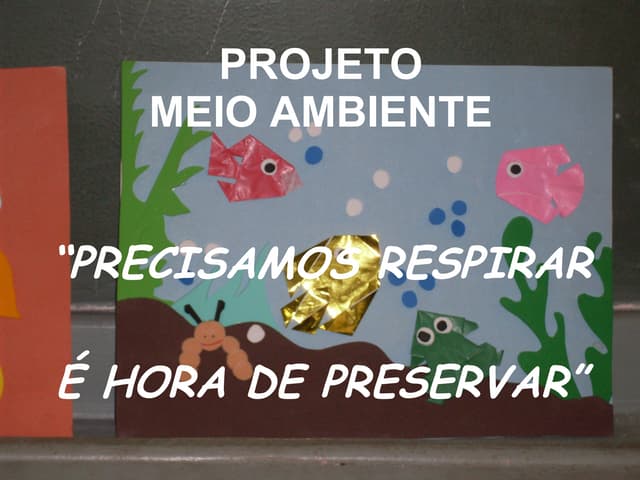 Projeto Meio Ambiente - Profª Cleide)