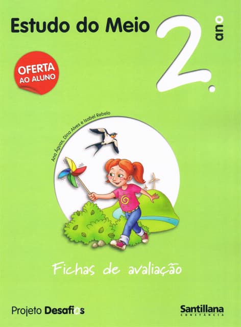 Projetos desafios   estudo meio - 2...