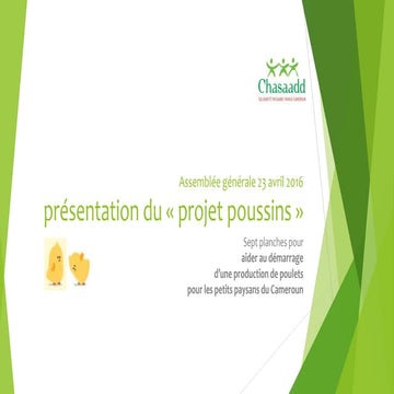 le "projet poussins"