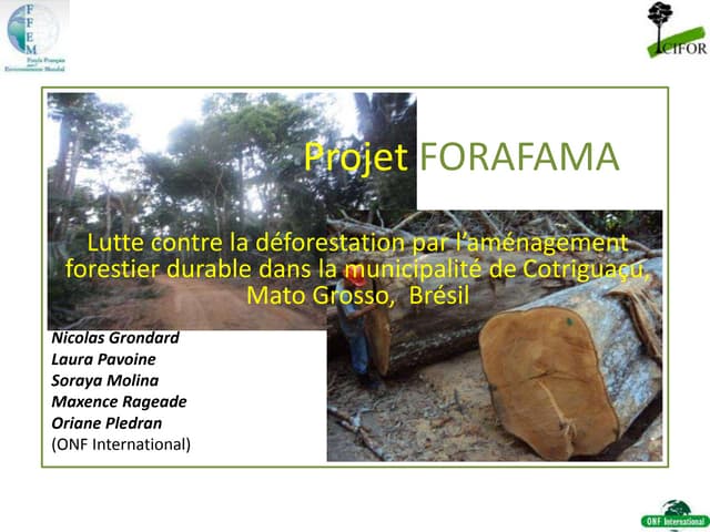 thumbnail of  Lutte contre la déforestation par l'aménagement forestier durable dans la municipalité de Cotriguaçu, Mato Grosso,  Brésil