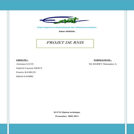 Projet Rnis | PDF