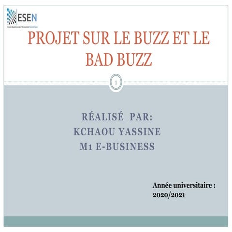 Projet sur le buzz et le bad buzz | PPTX