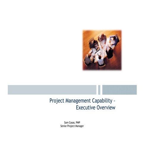 Proj Mgmt Capability