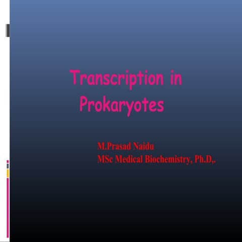 Prokar transcription
