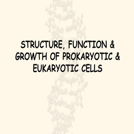 Prokaryotes _Eukaryotes