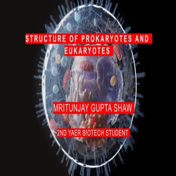 STRUCTURE OF PROKARYOTES AND EUKARYOTES