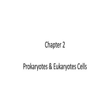 prokaryotes and eukaryotes cells chapter.pdf