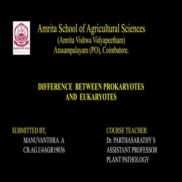 Prokaryotes and eukaryotes powerpoint