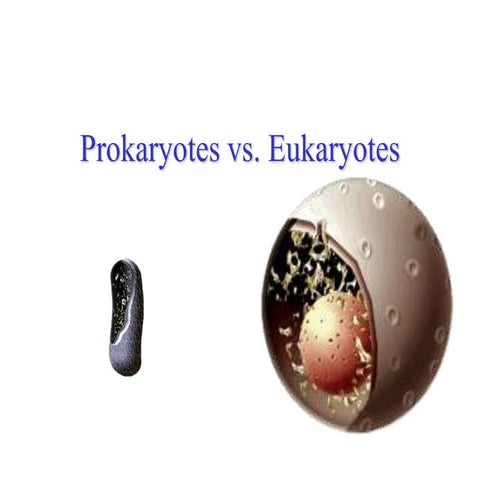 Prokaryotes vs.  Eukaryotes